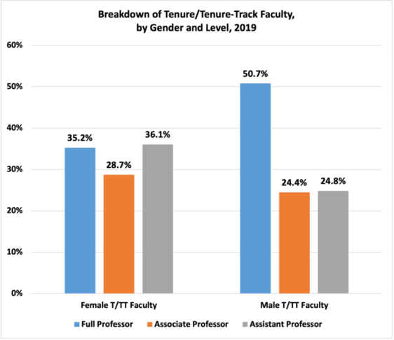 Breakdown of Tenure/Tenure-Track Faculty by Gender and Level, 2019. Bar graph