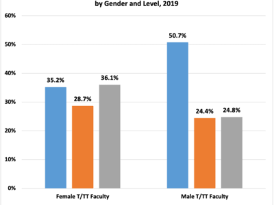 Breakdown of Tenure/Tenure-Track Faculty by Gender and Level, 2019. Bar graph